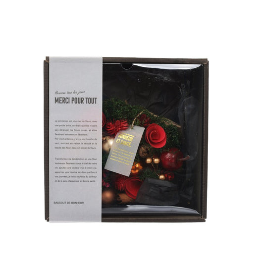 PASEO Xmas Wreath (S) Classic  (80g)