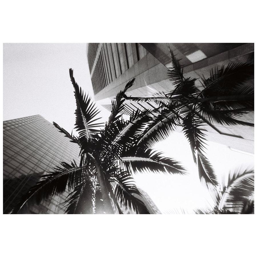 LOMOGRAPHY Simple Use Camera 400/27 Black & White - LOG-ON