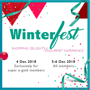 Winterfest 2018 - LOG-ON