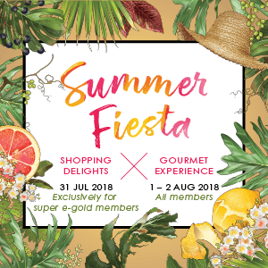 Summer Fiesta 2018 - LOG-ON