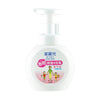 KIREI Anti-Bacterial Foaming Hand Soap-Fruity Citrus