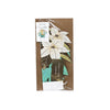 GREETING LIFE Xmas Card Pop Up - White Poinsettia  (70g)