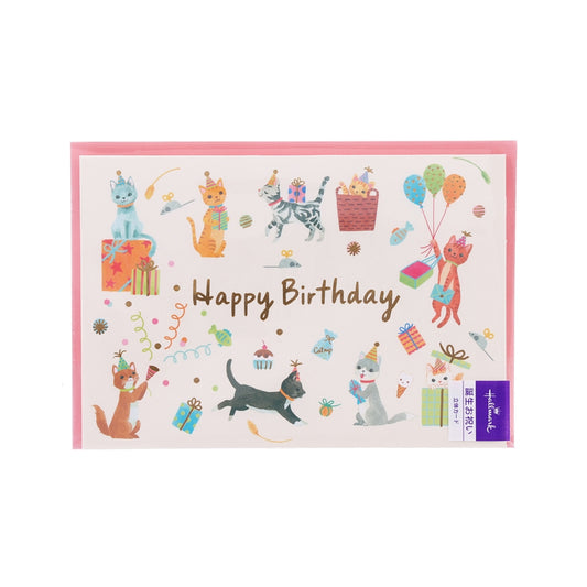 HALLMARK Birthday Card - Have A Fun Party  (20g)