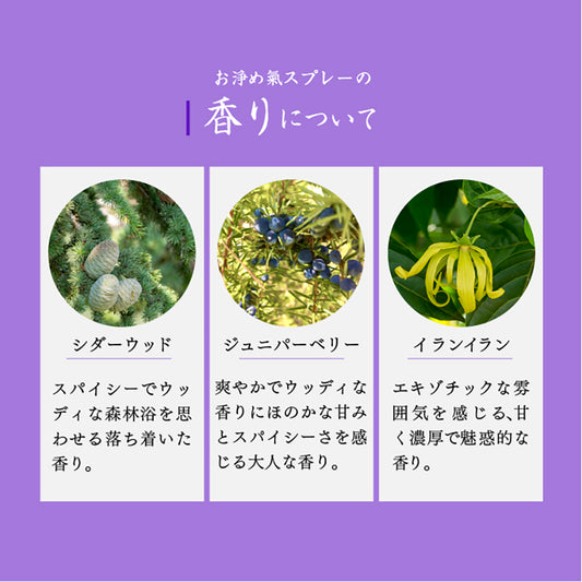 OISESAN 淨化鹽噴霧 - 氣  (17mL)