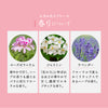 OISESAN Large Purifying Salt Mist - Love  (300mL)
