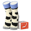 KAWABE F26 JP Hokkaido W Boxed Home Socks