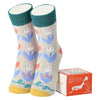KAWABE F26 JP Toyama W Boxed Home Socks