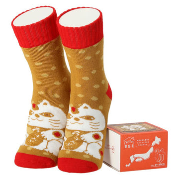 KAWABE F26 JP Aichi W Boxed Home Socks