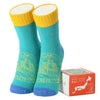 KAWABE F26 JP Fukui W Boxed Home Socks