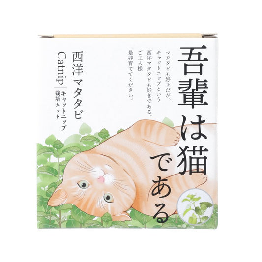 SEISHIN GD-1027 Catnip Growing Kit