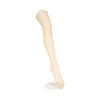 ATSUGI F26 Atsugi UV Protect Stocking AP8017 - ML-Nude BG
