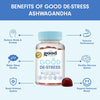 THE GOOD VITAMIN CO Good De-Stress Soft Chews  (60pcs)