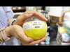LIFEON LIFEON MINITURE FAN YL
