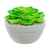 DULTON Echeveria L.E.D. Light  (190g) - LOG-ON