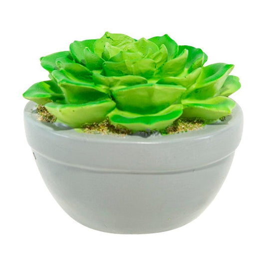DULTON Echeveria L.E.D. Light  (190g) - LOG-ON