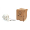SUCKUK Skull Light - LOG-ON