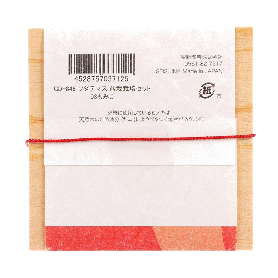 SEISHIN SeiShin GD-846-03 Red Leaf - LOG-ON