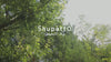 SHUPATTO摺疊袋(中)-深灰色