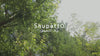 SHUPATTO Shupatto Compact Bag(M)-Hagire (Scraps)